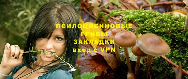 гидра Алексеевка