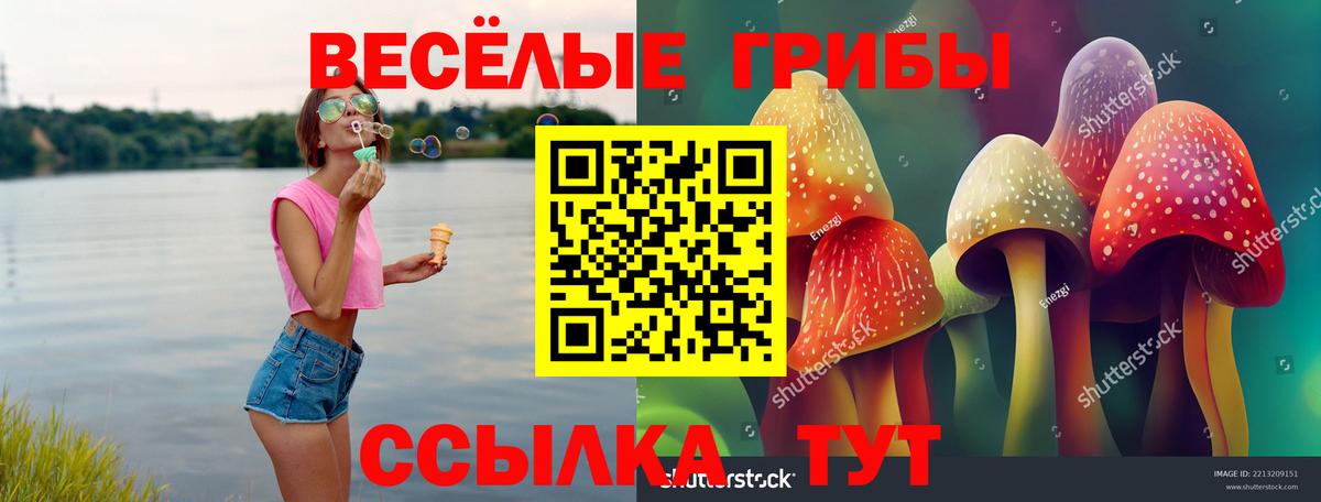 Псилоцибиновые грибы ЛСД  Вход с VPN  Батайск 
